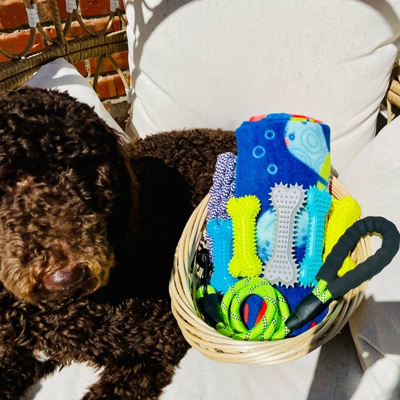 🆕Brand New🦮🐾Dog🦮🐾 Pet Gift Baskets🆕 - Picture 3 of 9